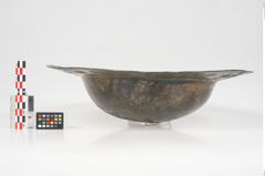 Foto von Bronzebreitrandschale (NHMW-PRAE-025473)